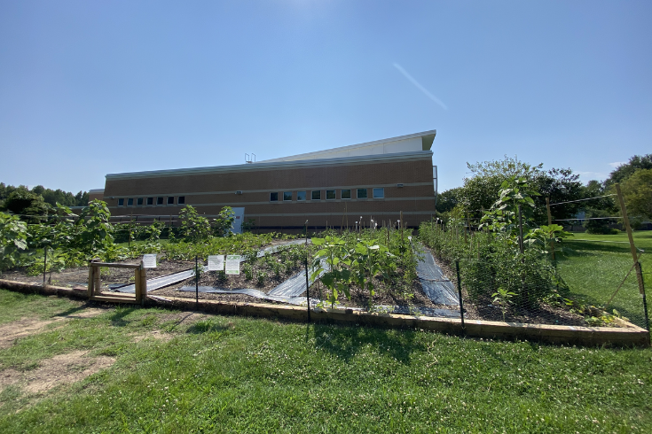 Crofton branch exterior