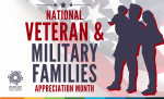 "National Veteran & Military Families Appreciation Month." A silhouette of a military family with the American flag in the background and the AACPL logo in the bottom left corner.