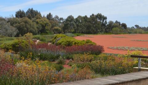 garden with flowers and bushes and trees in the background