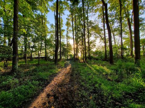 South River Farms Park trail