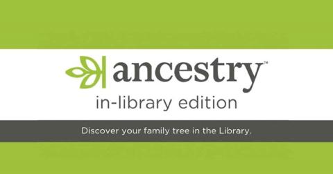 Ancestry In Library Edition logo