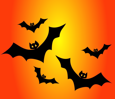 Black bats flying in an orange sky
