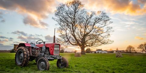 Red tractor in front of tree at sunset