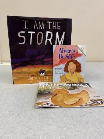 Three books are arranged on a table. They are "I am the Storm," "Always Be Safe," and "Marew's Stormwater Adventure"