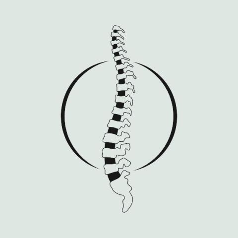 clip art illustration of human spine