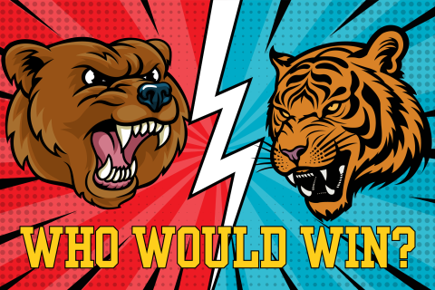 angry brown bear faces an angry tiger on a red and blue background with a white lightning bolt between them. Text reads Who Would Win?