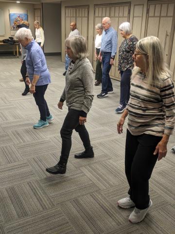 a group of people dancing in lines