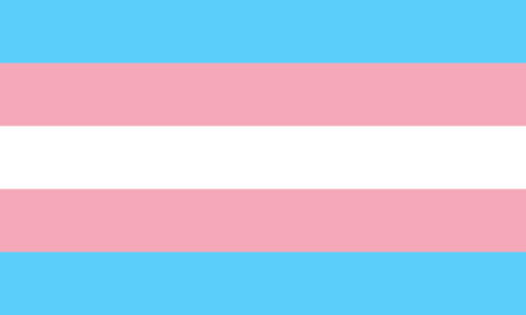 Traansgender pride flag