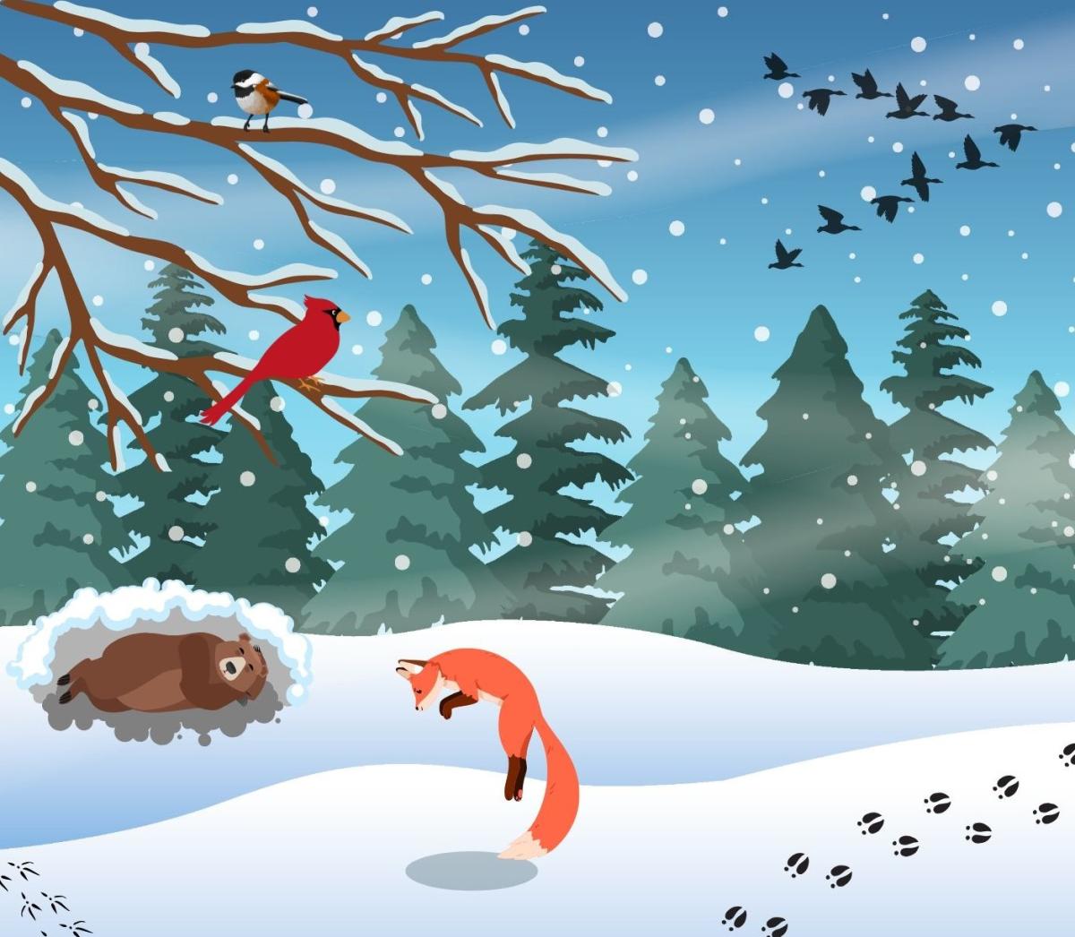 A winter forest scene showing different animals as well as footprints in the snow.